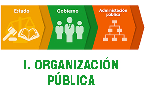 I. ORGANIZACIÓN PÚBLICA (AAE)